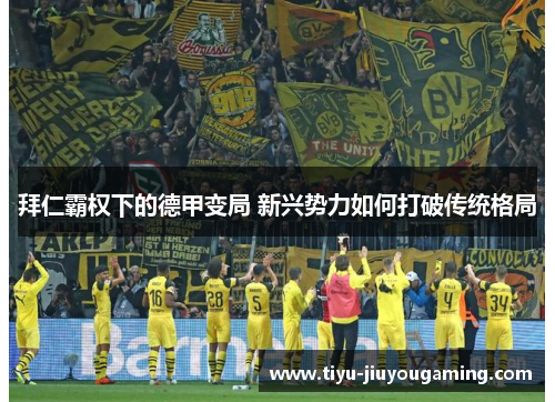 拜仁霸权下的德甲变局 新兴势力如何打破传统格局
