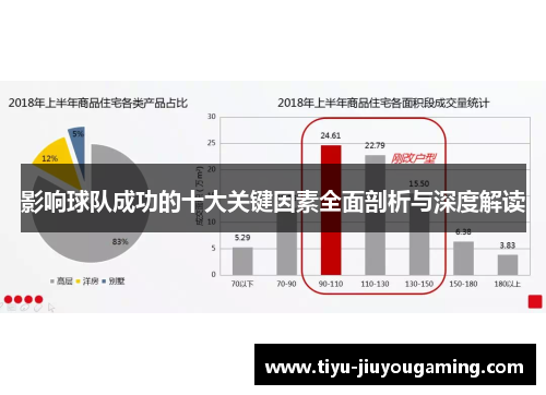影响球队成功的十大关键因素全面剖析与深度解读
