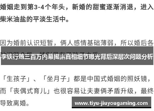 李铁行贿三百万内幕揭露真相细节曝光背后深层次问题分析