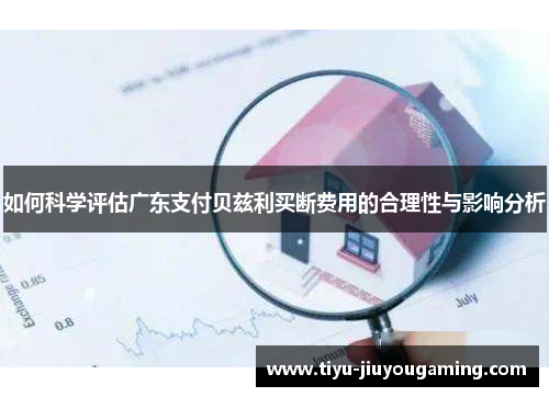 如何科学评估广东支付贝兹利买断费用的合理性与影响分析