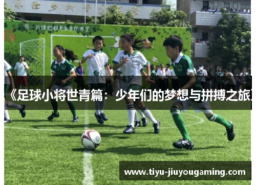 《足球小将世青篇：少年们的梦想与拼搏之旅》