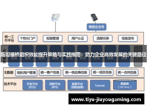 斯坦福桥组织效能提升策略与实践指南：助力企业高效发展的关键路径